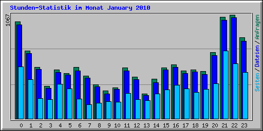 Stunden-Statistik im Monat January 2010